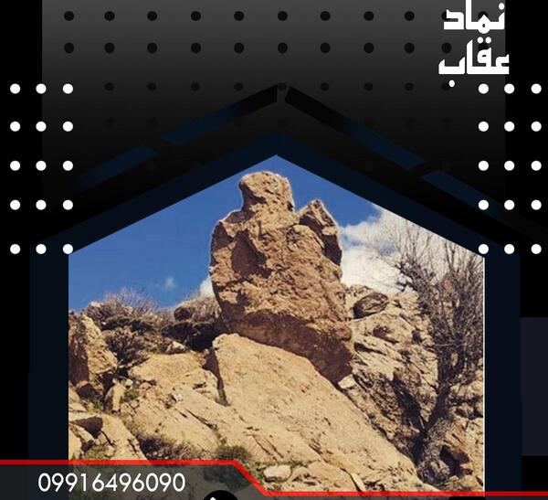 عکس عقاب روی سنگ در دفینه