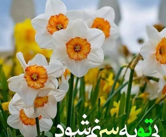 عکس امام زمان بدون متن برای پروفایل