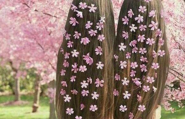 عکس بهار کیوت