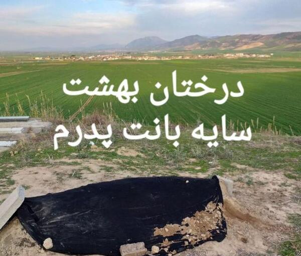 عکس نوشته دلتنگ صورتی هستم که نمیدانم