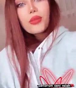 عکس شقایق در لایکی