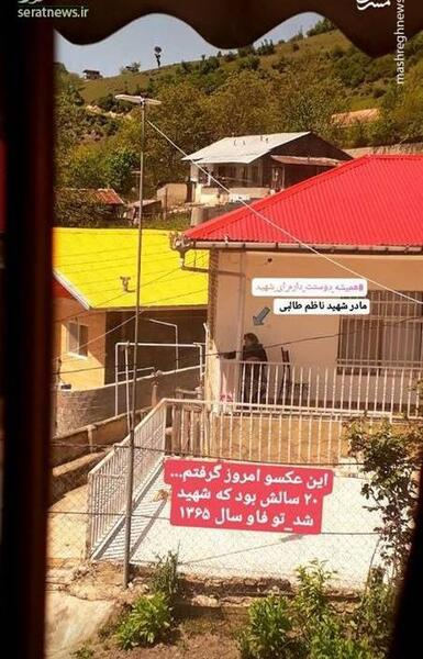 عکس امید طالبی