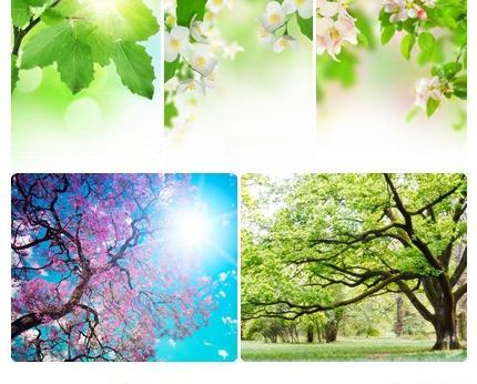 عکس های گرافیکی بهار