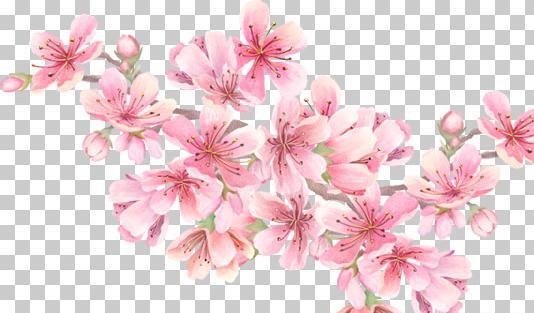 عکس های گرافیکی بهار