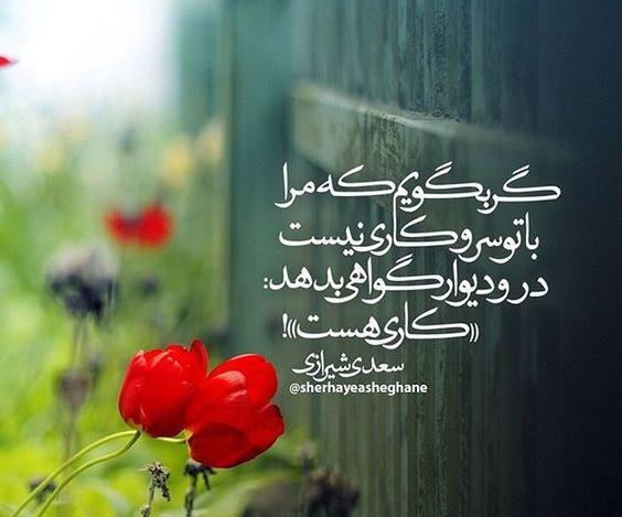 عکس نوشته لیلا مقربی