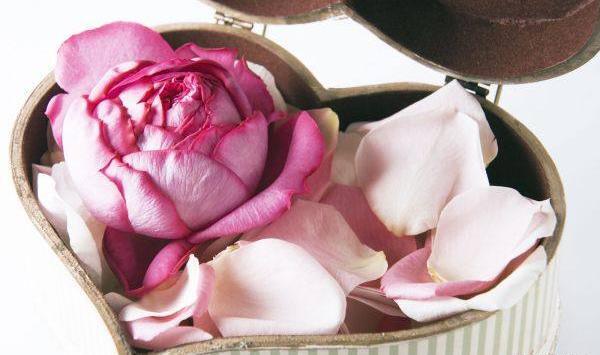 عکس منظره زیبا دخترونه