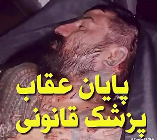 عکس عقاب وحید مرادی