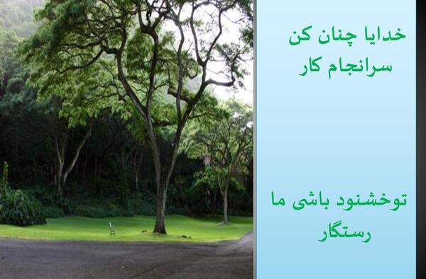 عکس خدایا چنان کن سرانجام کار