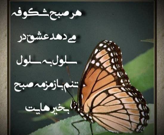 عکس صبح بخیر زندگیم