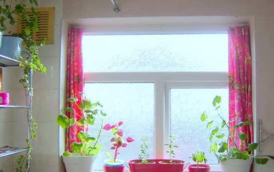 عکس ایده برای پنجره خانه
