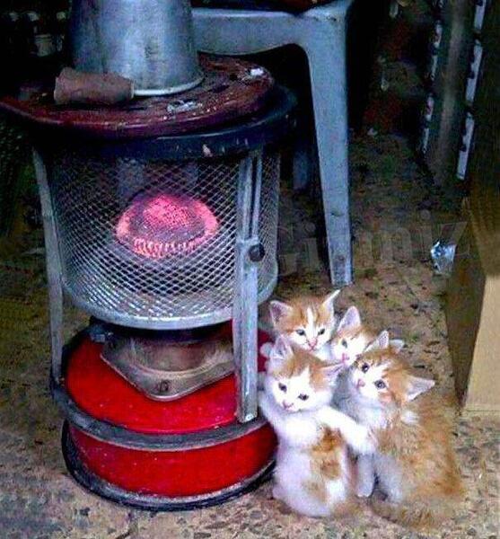 عکس نوشته طنز هوا سرده