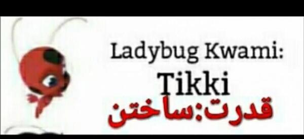 عکس کوامی یوز پلنگ
