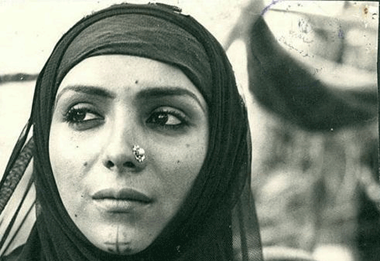 عکس پیری طوطی سلیمی