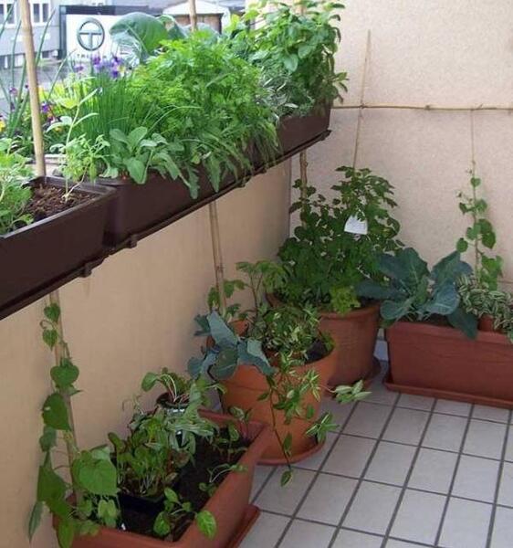 عکس ایده برای گلخانه در بالکن
