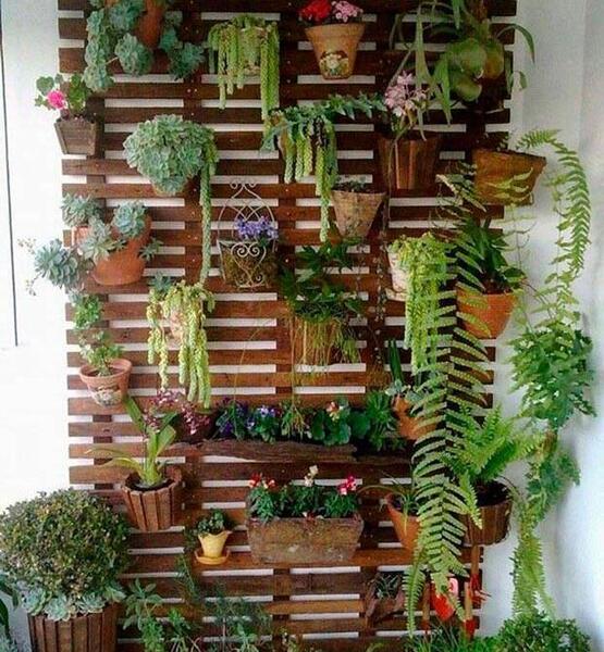 عکس ایده برای گلخانه در بالکن