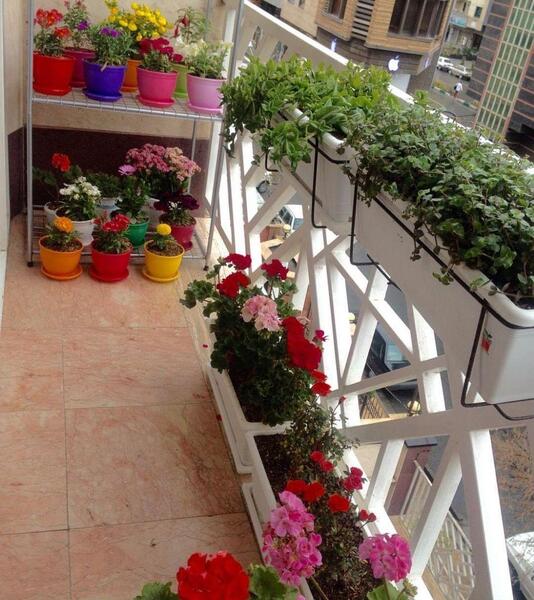 عکس ایده برای گلخانه در بالکن