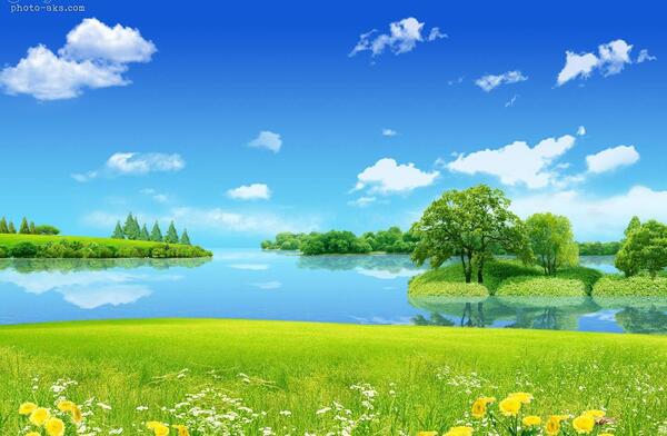 عکس منظره زیبای تابستانی