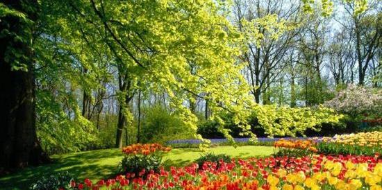 عکس منظره زیبای تابستانی