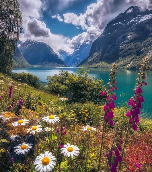 عکس منظره زیبای تابستانی