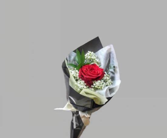 عکس گلهای تک شاخه زیبا