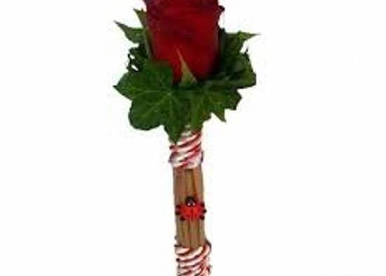 عکس گلهای تک شاخه زیبا