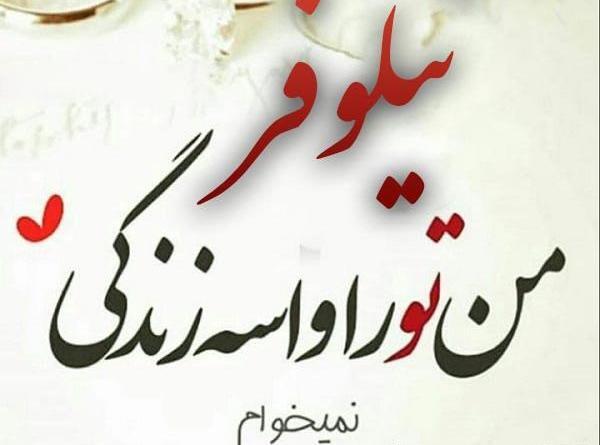 عکس نوشته اسم نیلوفر جدید