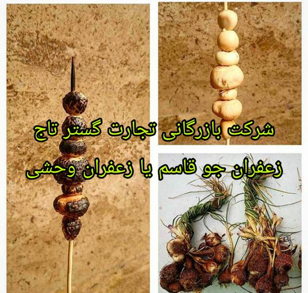 عکس جو قاسم
