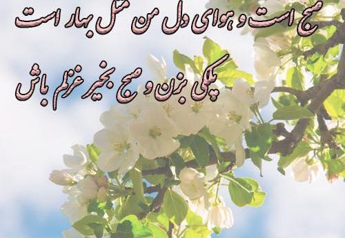 عکس صبح بخیر دعایی