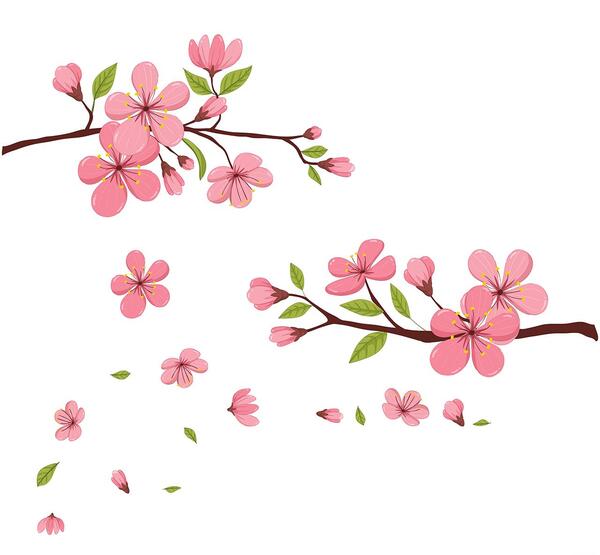 عکس طراحی شکوفه
