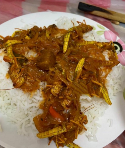 عکس غذا نی نی سایت