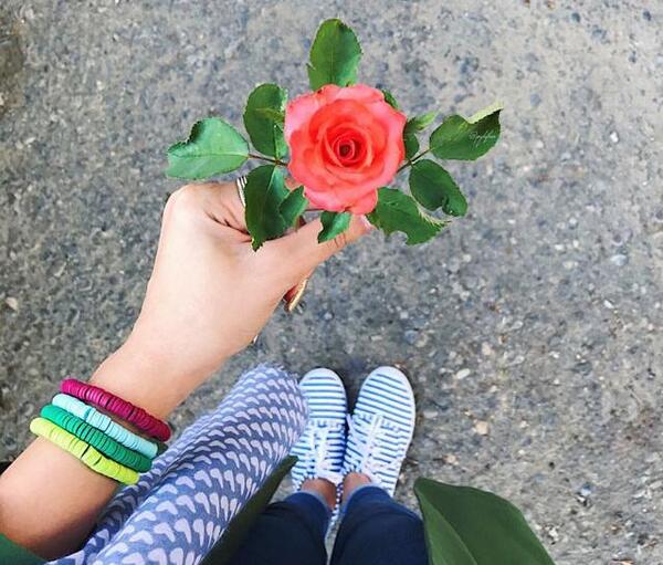 عکس گل رز کنار دریا