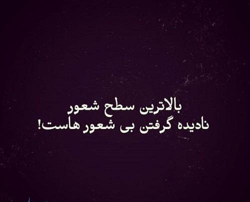 عکس نوشته تیکه دار شعور