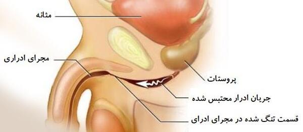 عکس دکتر سید جلیل حسینی