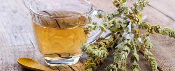 عکس گیاه چای چوپان