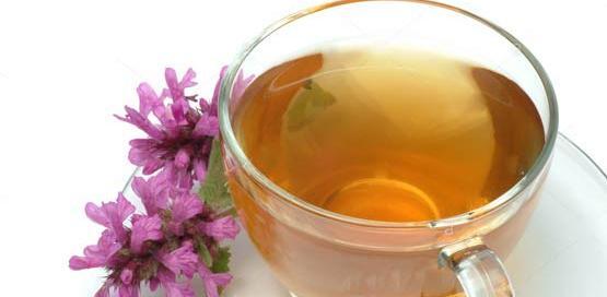 عکس گیاه چای چوپان