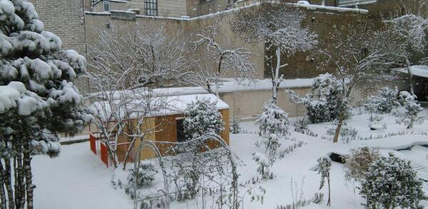 عکس سمانه کاووسی