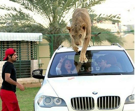 عکس پسر پولدار