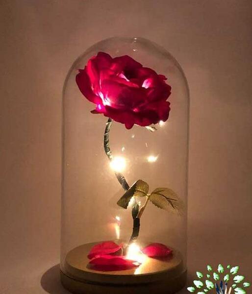 عکس گل رز جاودانه
