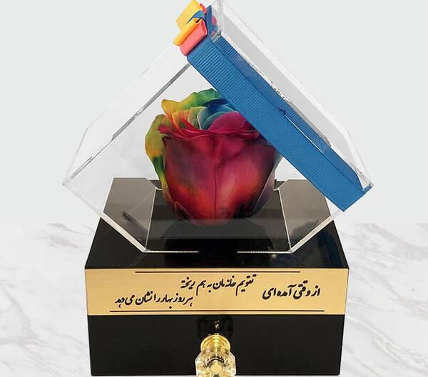 عکس گل رز جاودانه