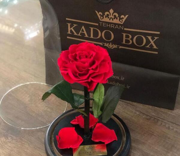 عکس گل رز جاودانه