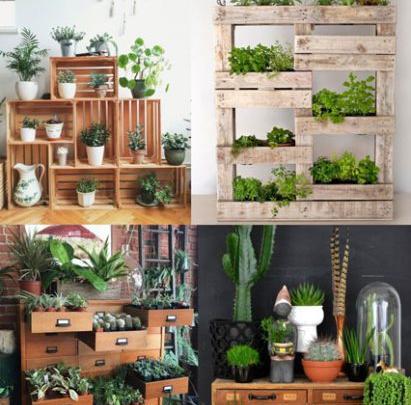 عکس ایده برای کاشت گل و گیاه