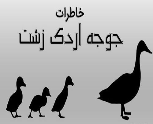 عکس جوجه مشکی