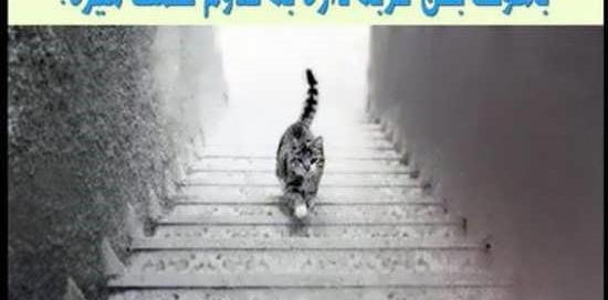 عکس های معما دار با جواب