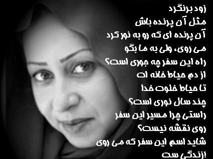 عکس نوشته های عرفان نظر آهاری