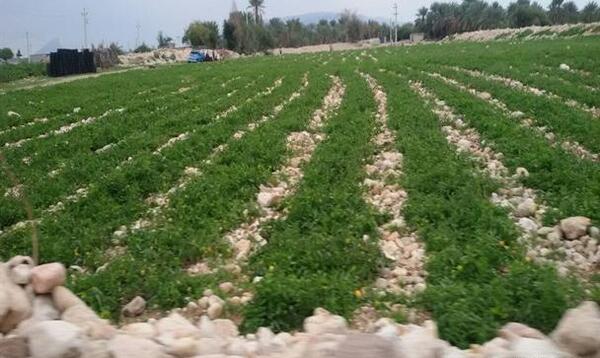 عکس روستای رضوان بندرعباس