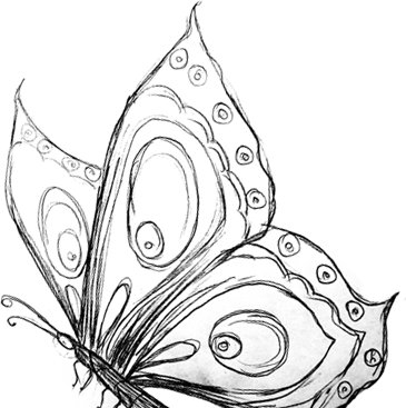 عکس پروانه طراحی شده