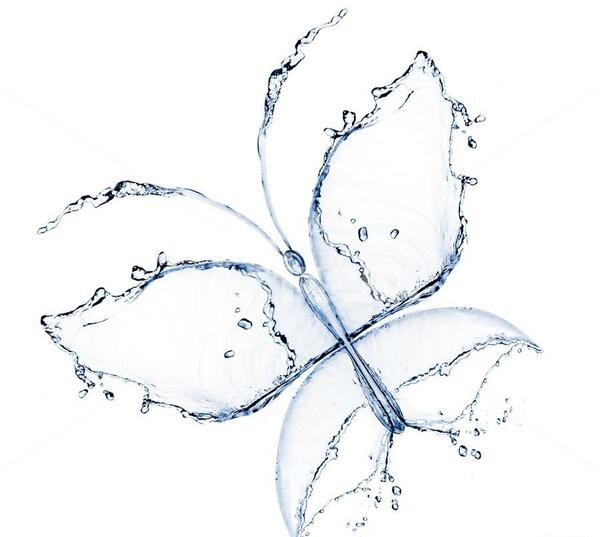 عکس پروانه طراحی شده