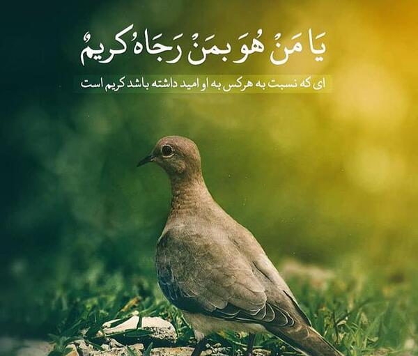 عکس نوشته زیبا قران