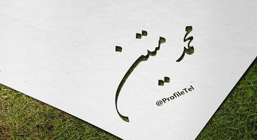 عکس محمد و متین