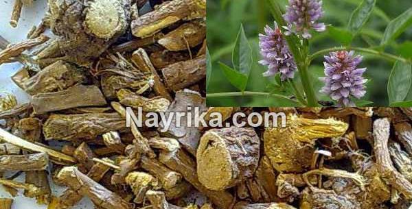 عکس شیره ی شیرین بیان